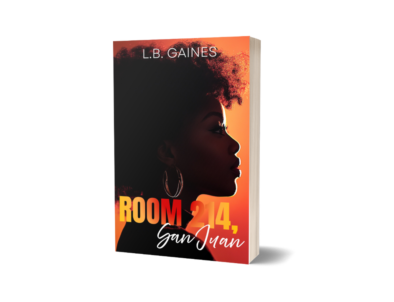 [Pre-Order] Paperback - Room 214, San Juan by L.B. Gaines