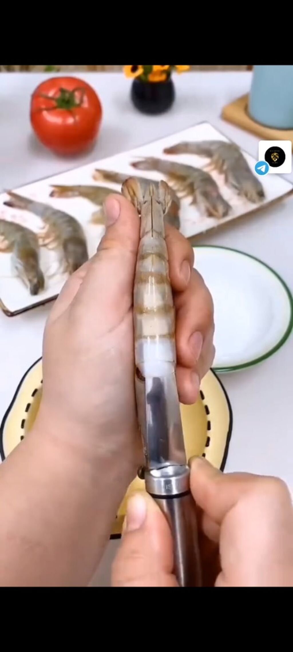 SHRIMP PEELER