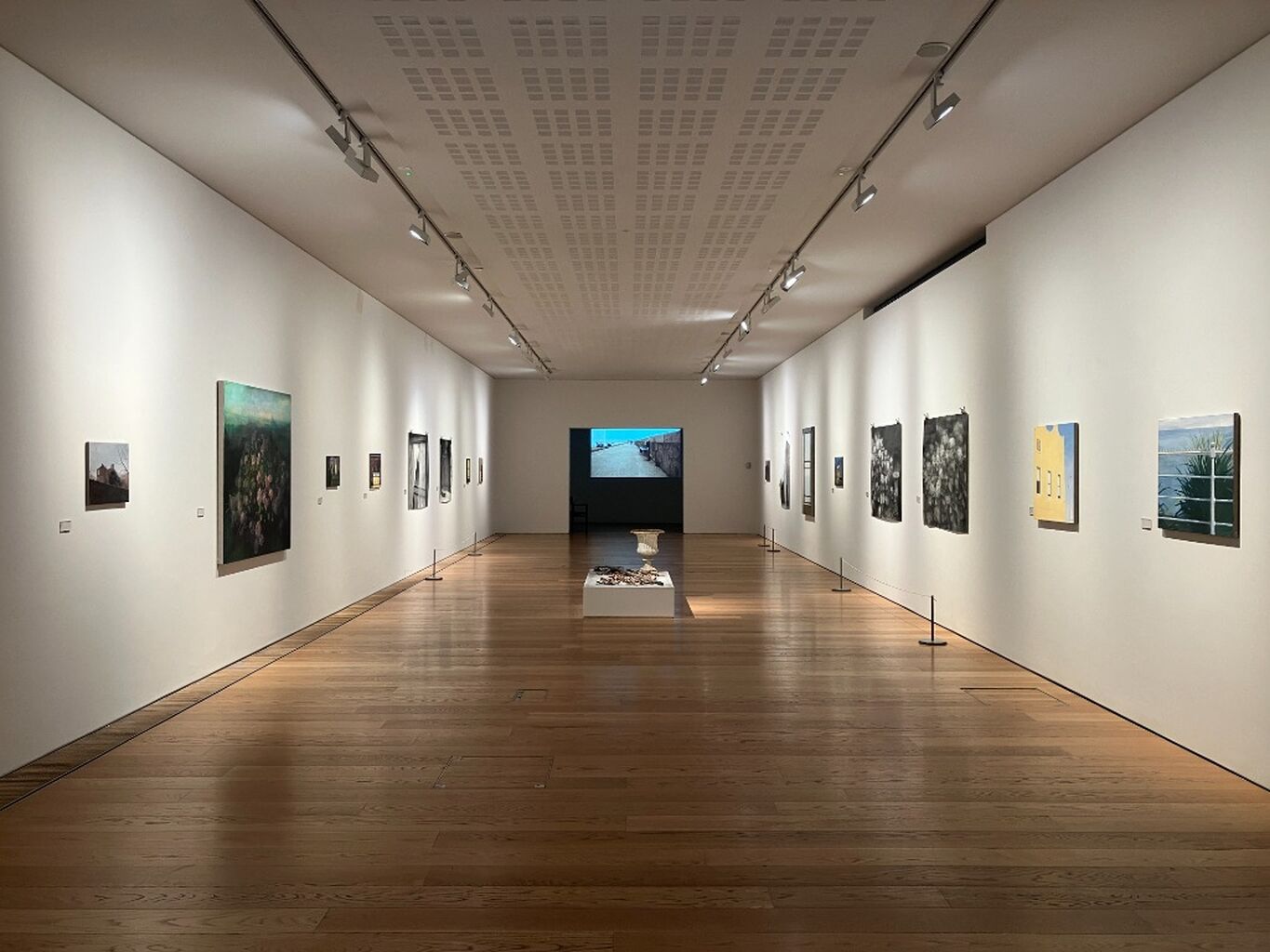 dlr Arts Office Website