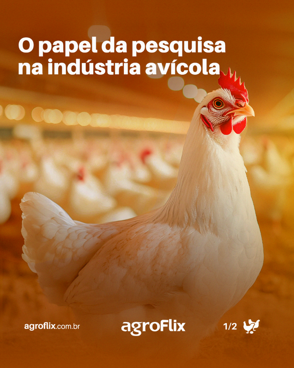 Neste Minuto Agro, de O Presente Rural, Pedro Trevisan destaca a import&acirc;ncia da pesquisa para manter o Brasil como l&iacute;der mundial na produ&ccedil;&atilde;o e exporta&ccedil;&atilde;o de carne de aves. 