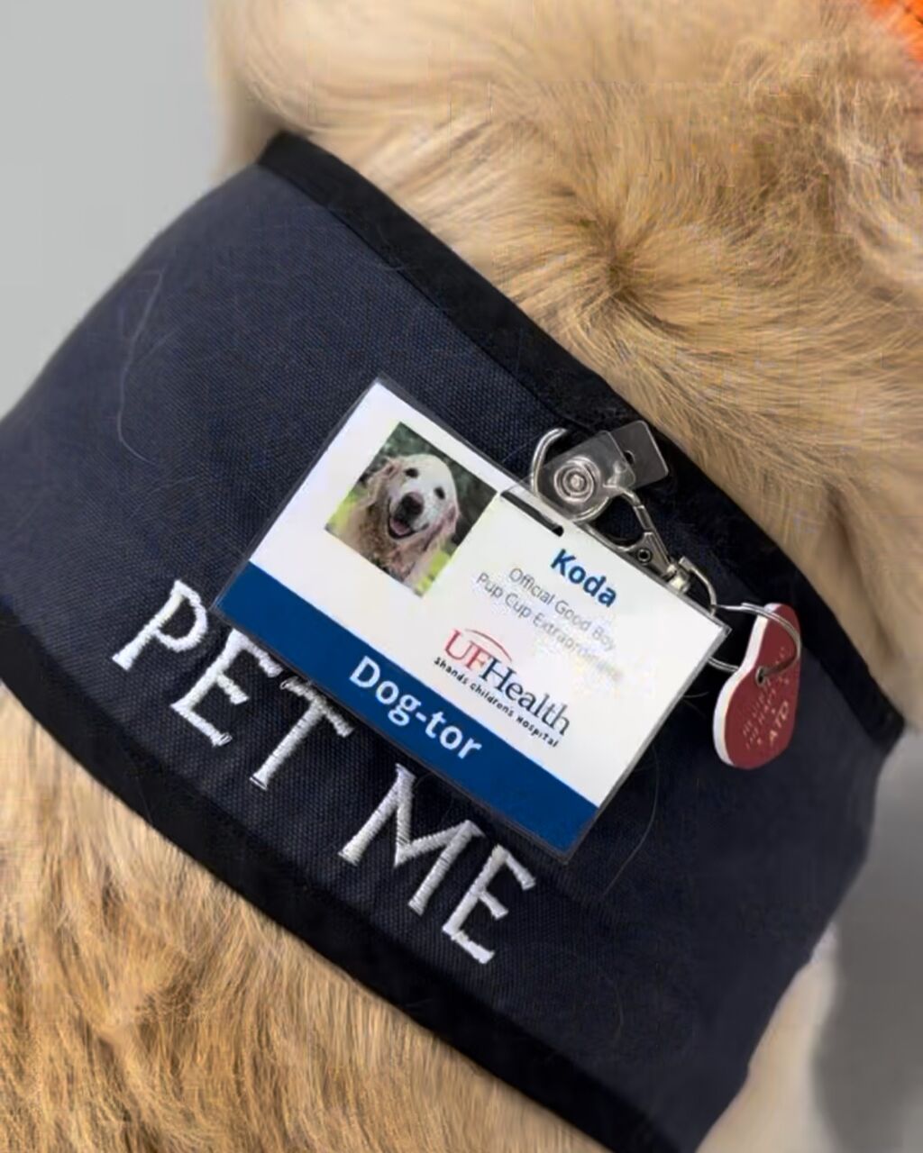 Pet Therapy Volunteers