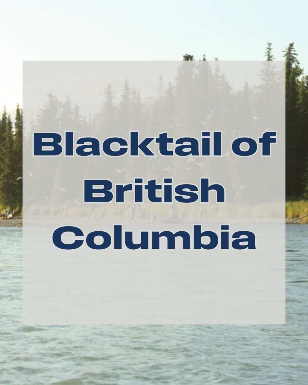 Blacktail of British Columbia: Challenges and Cooperation Across a Diverse Landscape