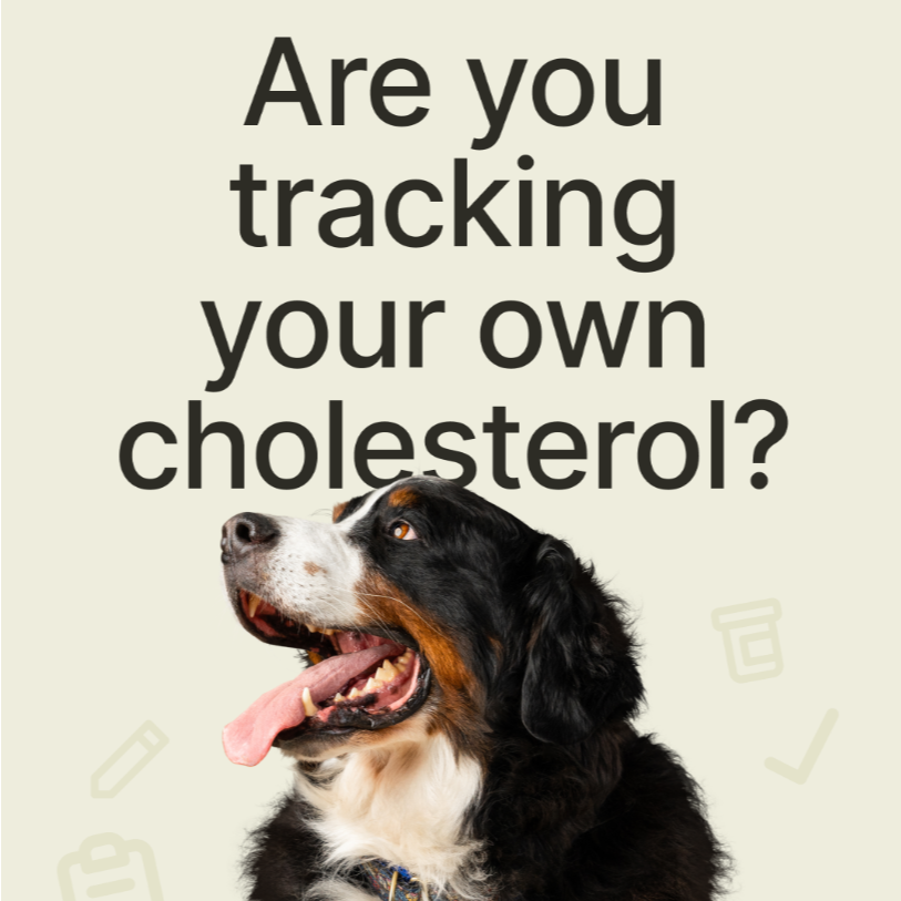 What lab values tell us about dogs&rsquo; frailty and quality of life