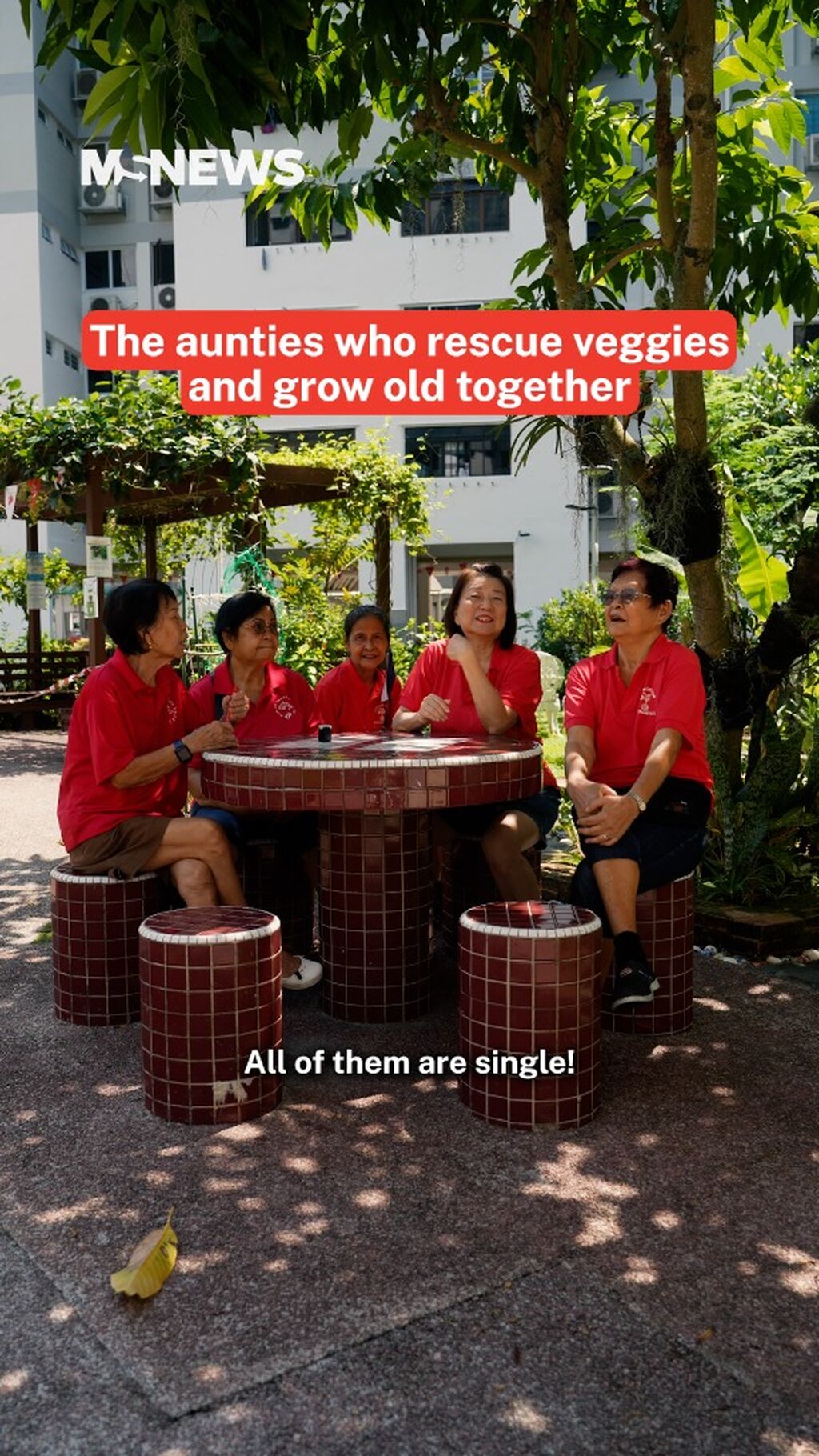 The aunties who rescue veggies and grow old together
