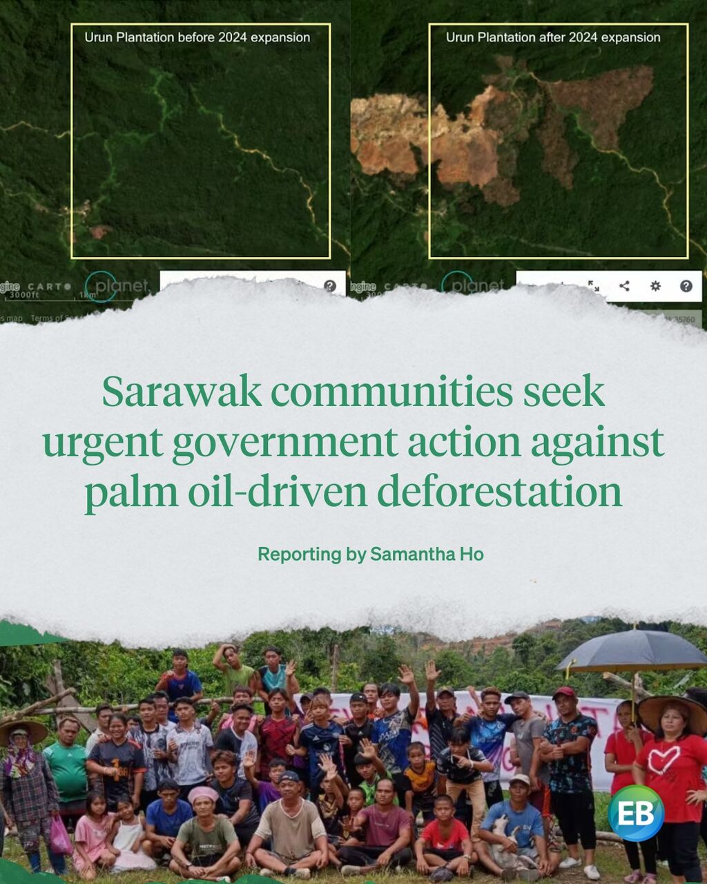 Sarawak communities seek urgent government action against palm oil-driven deforestation