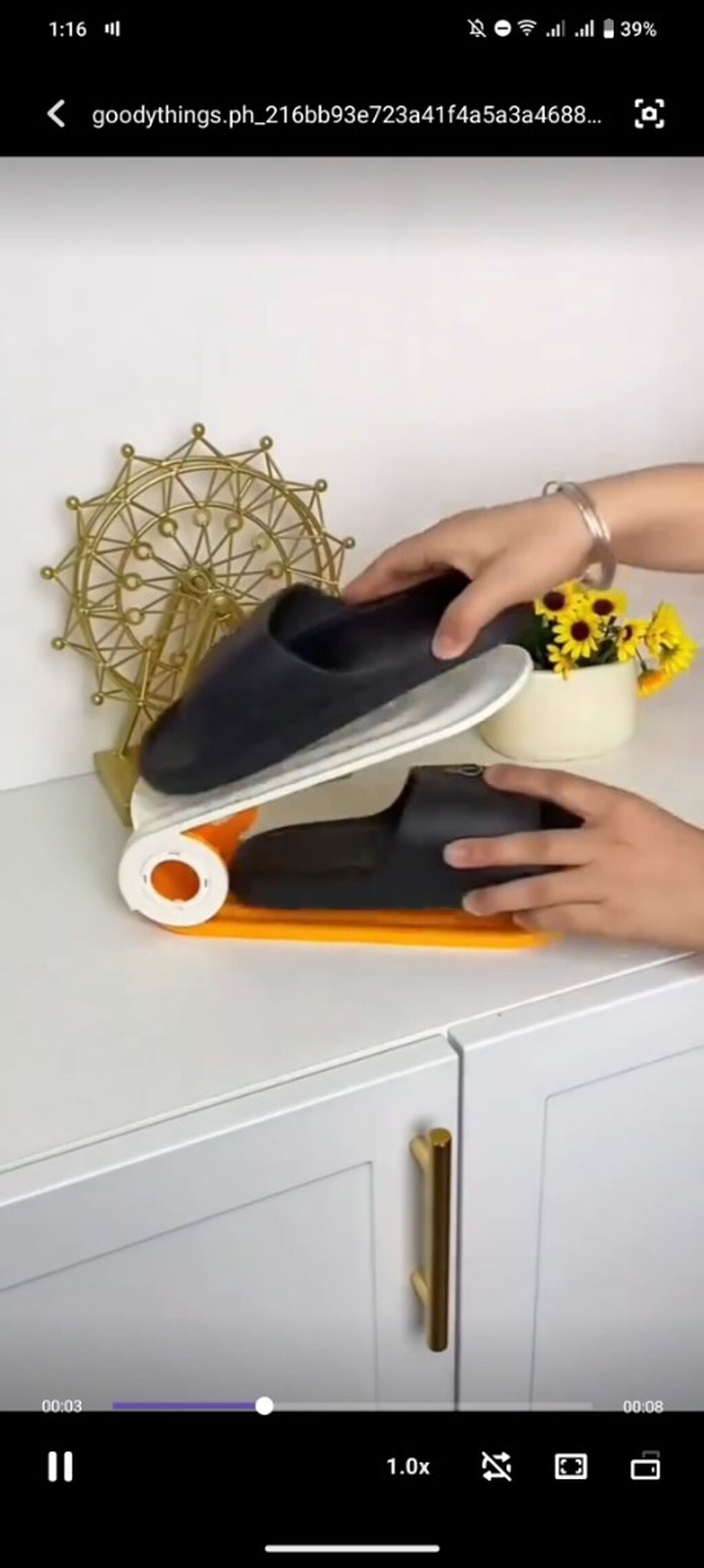 SINGLE SHOE ORGANIZER
