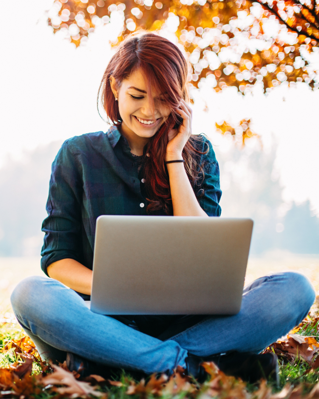 Free Fall Website Checkup
