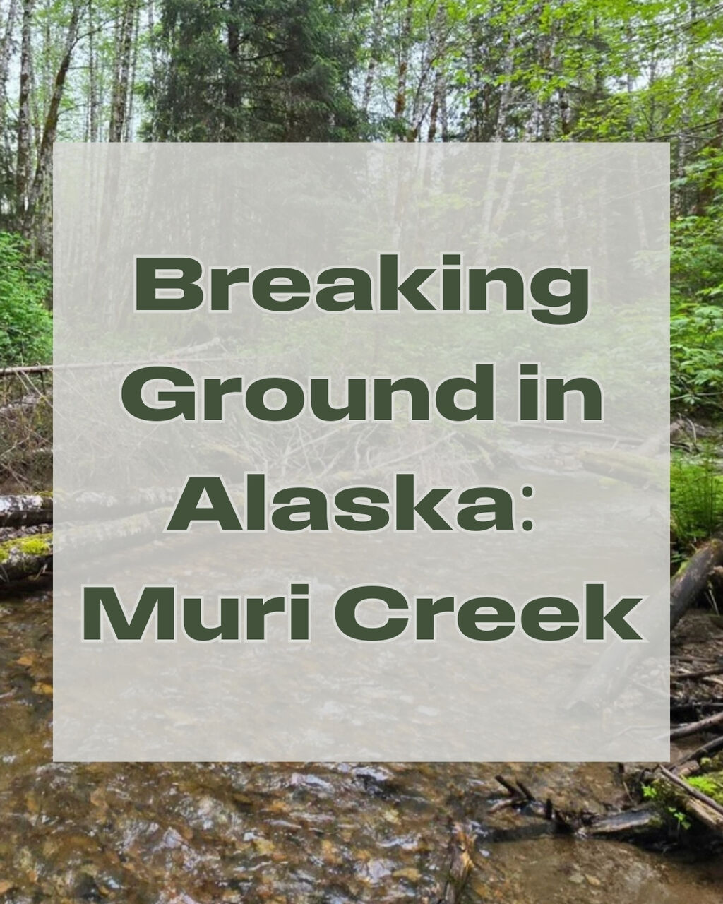 Breaking Ground in Alaska: Muri Creek Part 1