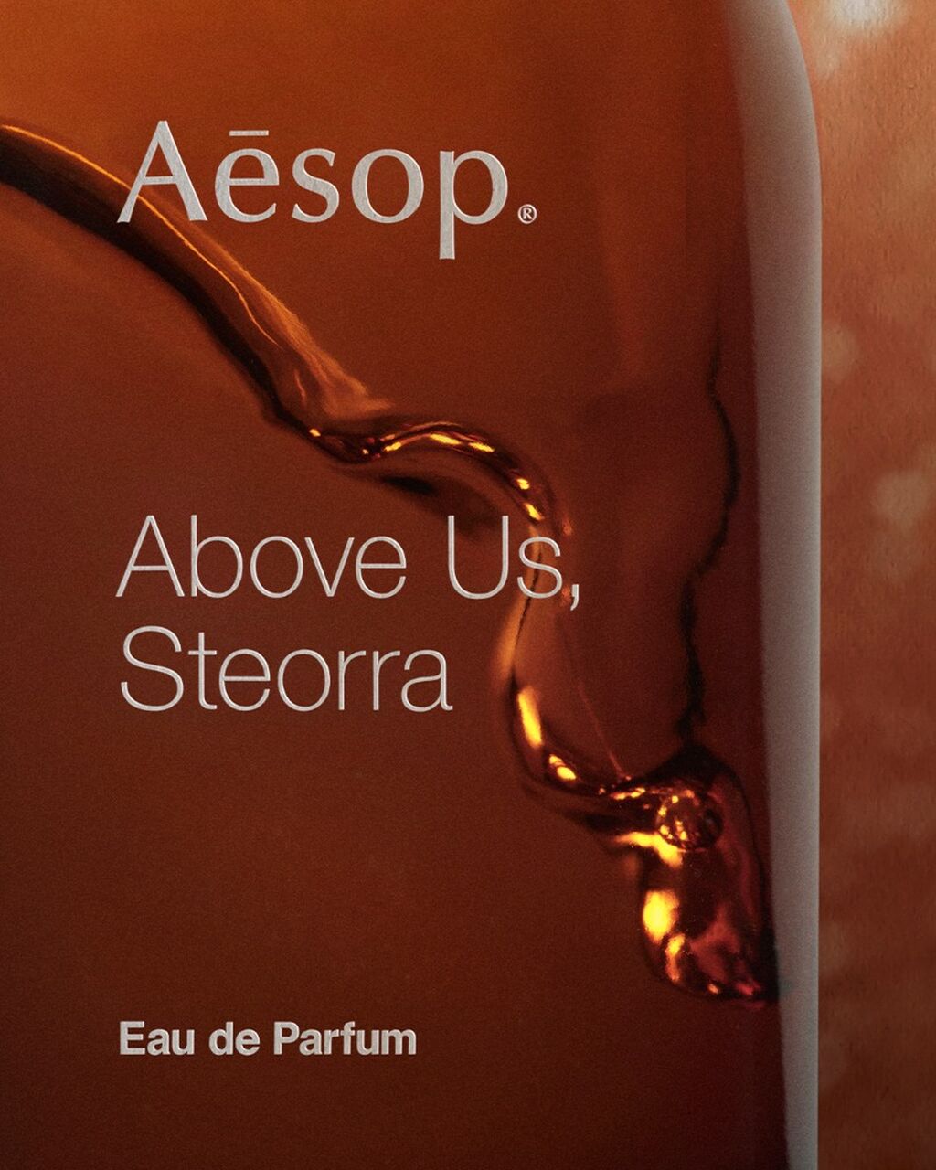 Above Us, Steorra