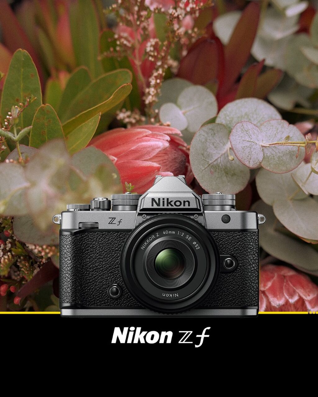 Maak kennis met de nieuwe Nikon Zf Silver 