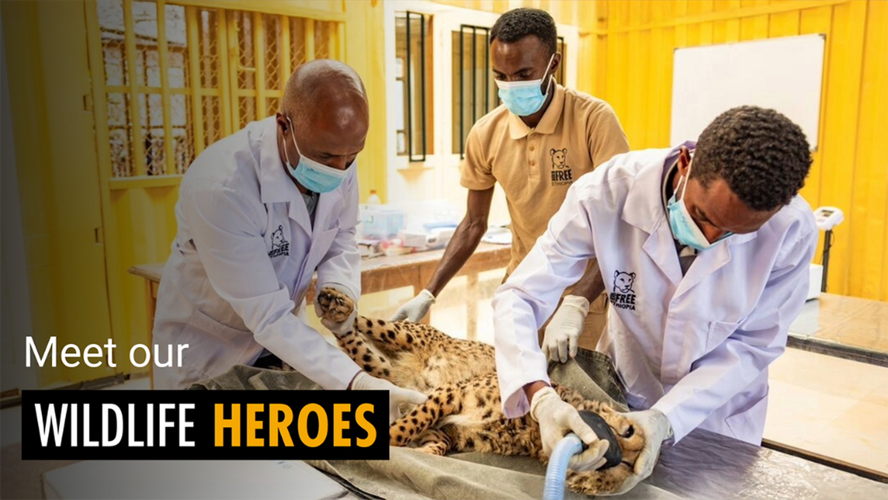 Wildlife Heroes YouTube Series