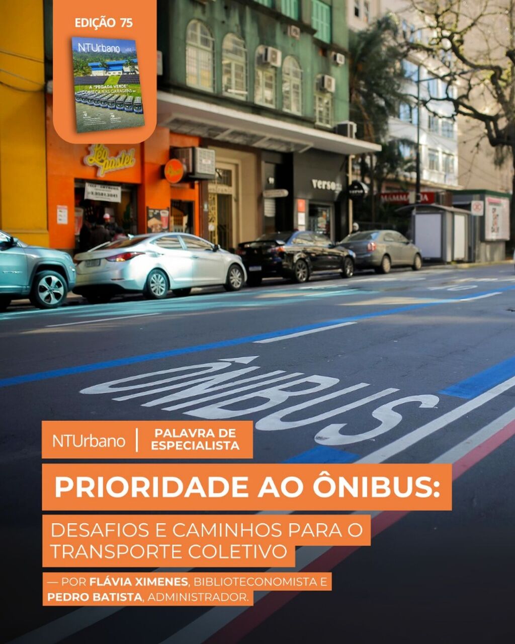 PALAVRA DE ESPECIALISTA