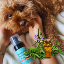 Dog Coat Care - website shop