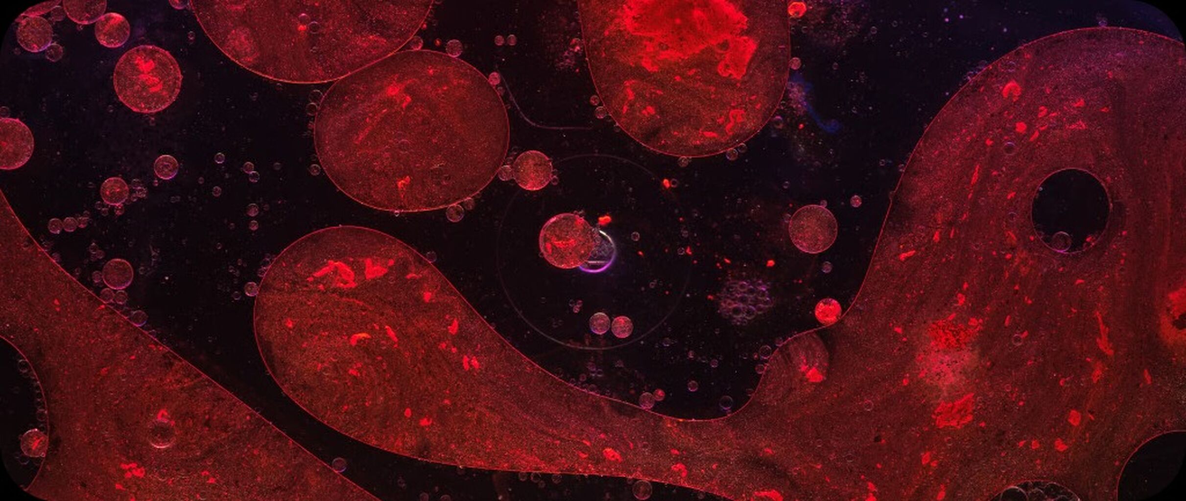 5 Biomarkers Everyone Should Track