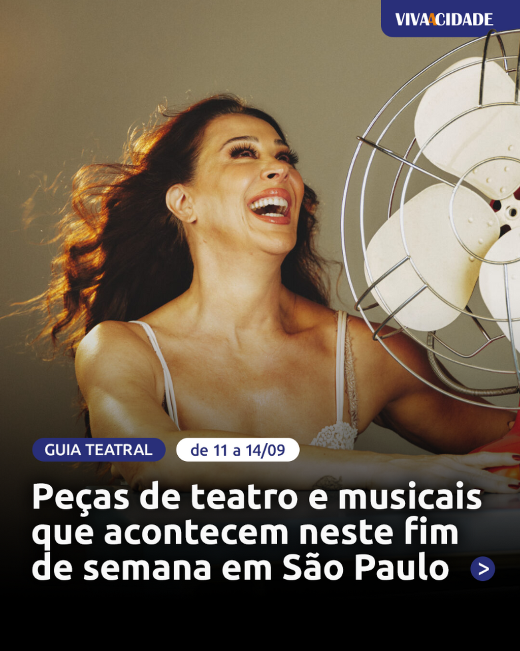 Guia Teatral 11/09
