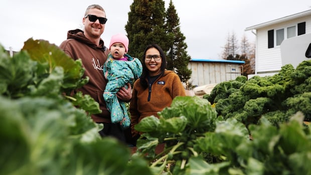 Nain family hopes to combat food insecurity with community garden | CBC News