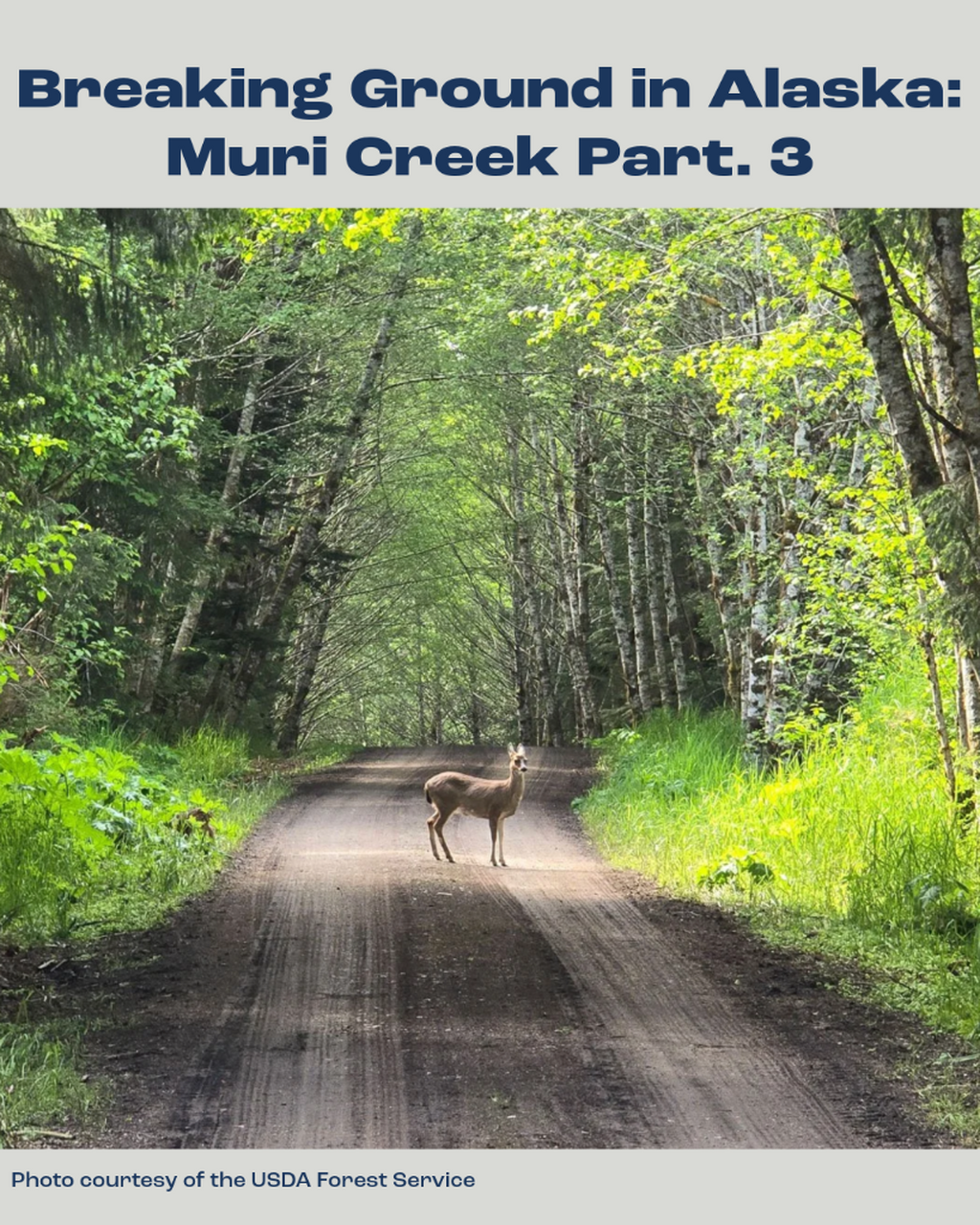 Breaking Ground in Alaska: Muri Creek Part 3