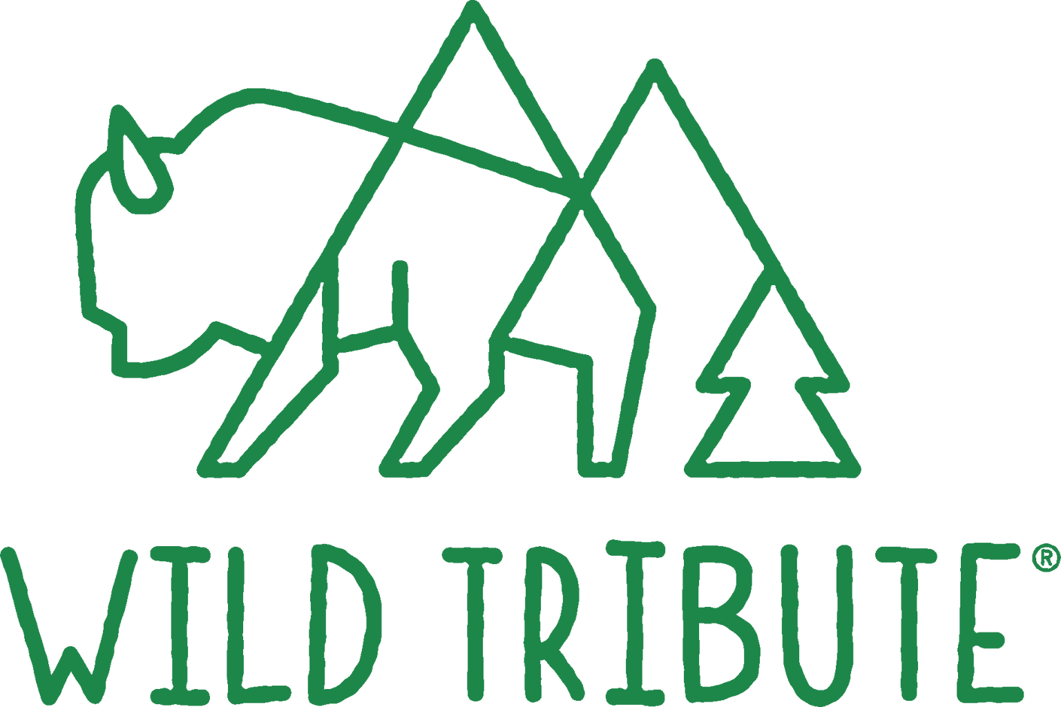 VW Bus Apparel inspired by National Parks | Wild Tribute