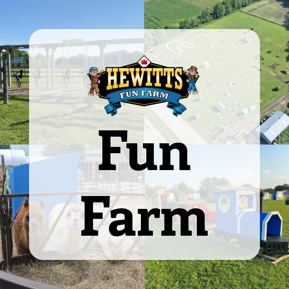 Fun Farm