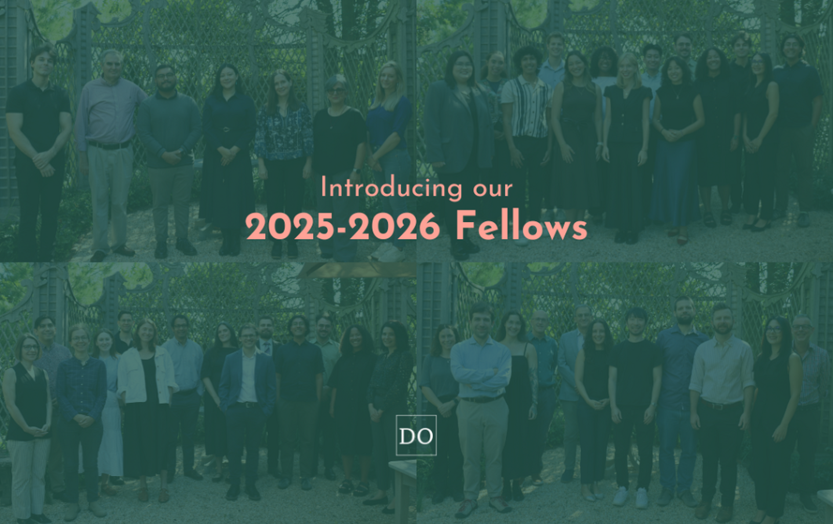 Meet our 2025-2025 Fellows