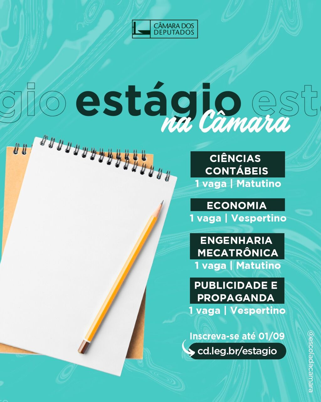 Est&aacute;gio na C&acirc;mara