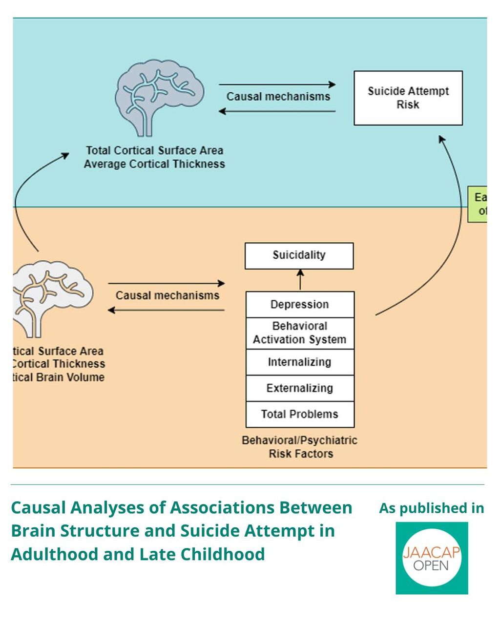 JO 0925 Causal Analyses of Associations Between Brain Structure and Suicide Attempt