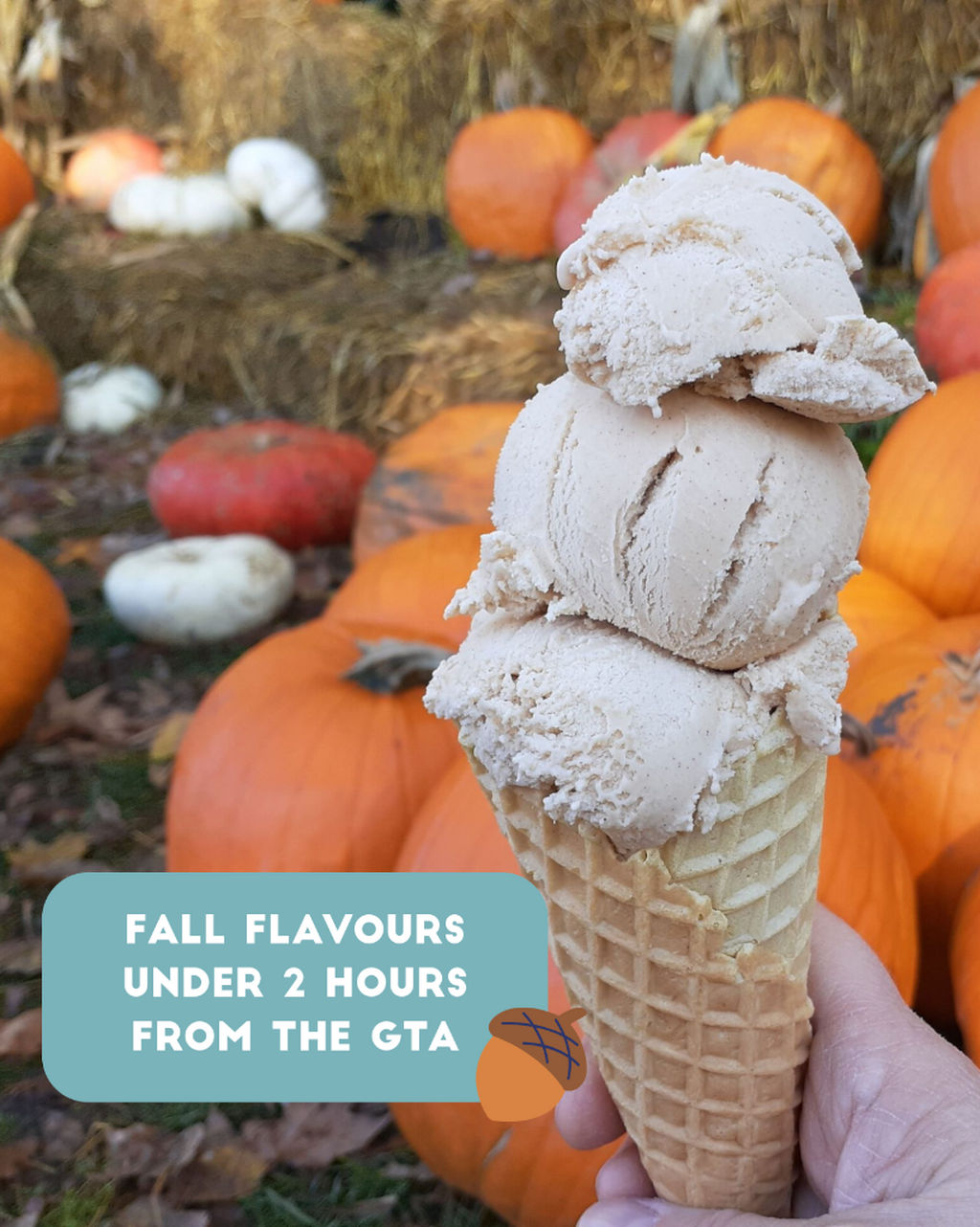 Fall Flavours Under 2 Hours from the GTA