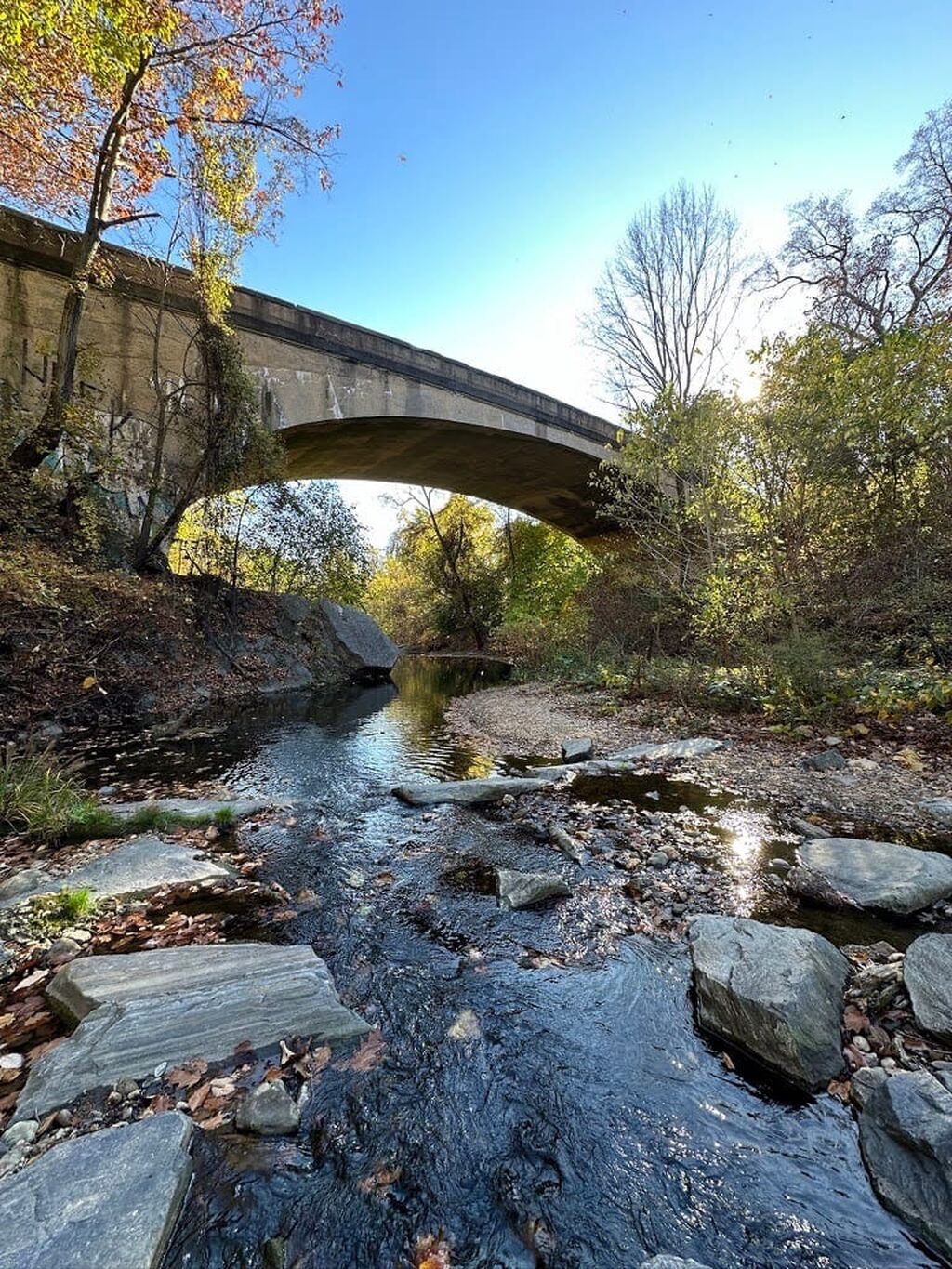 Jones Falls 2076