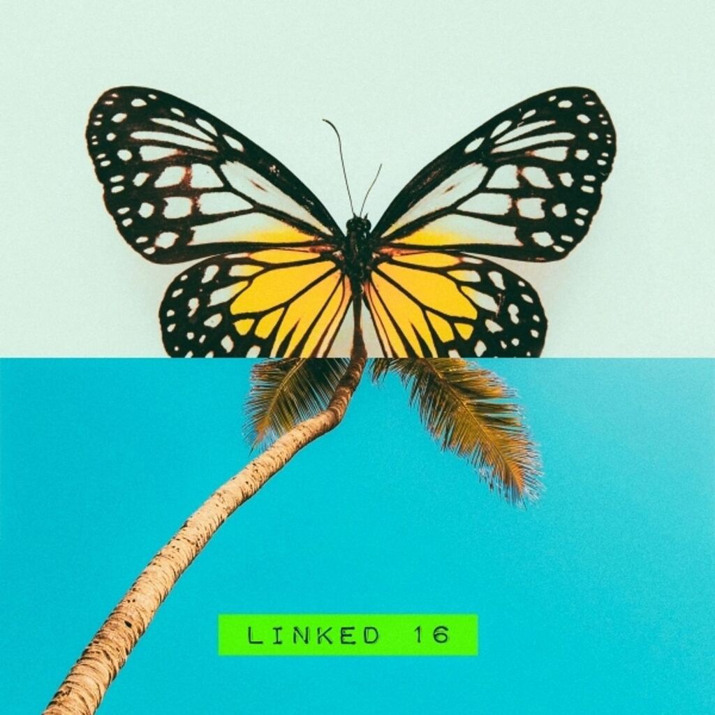 PHACE X OBSES - HOPEFULLY - LINKED 16