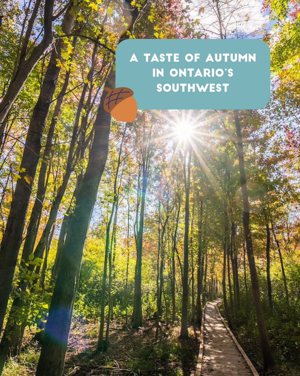 Do Something Delicious in OntSouthwest