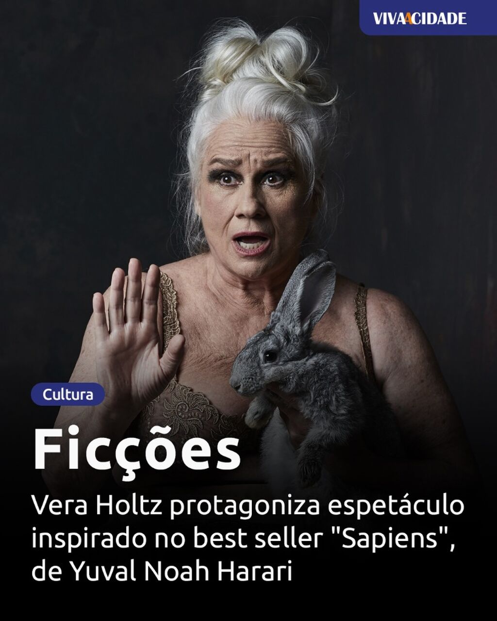 Fic&ccedil;&otilde;es