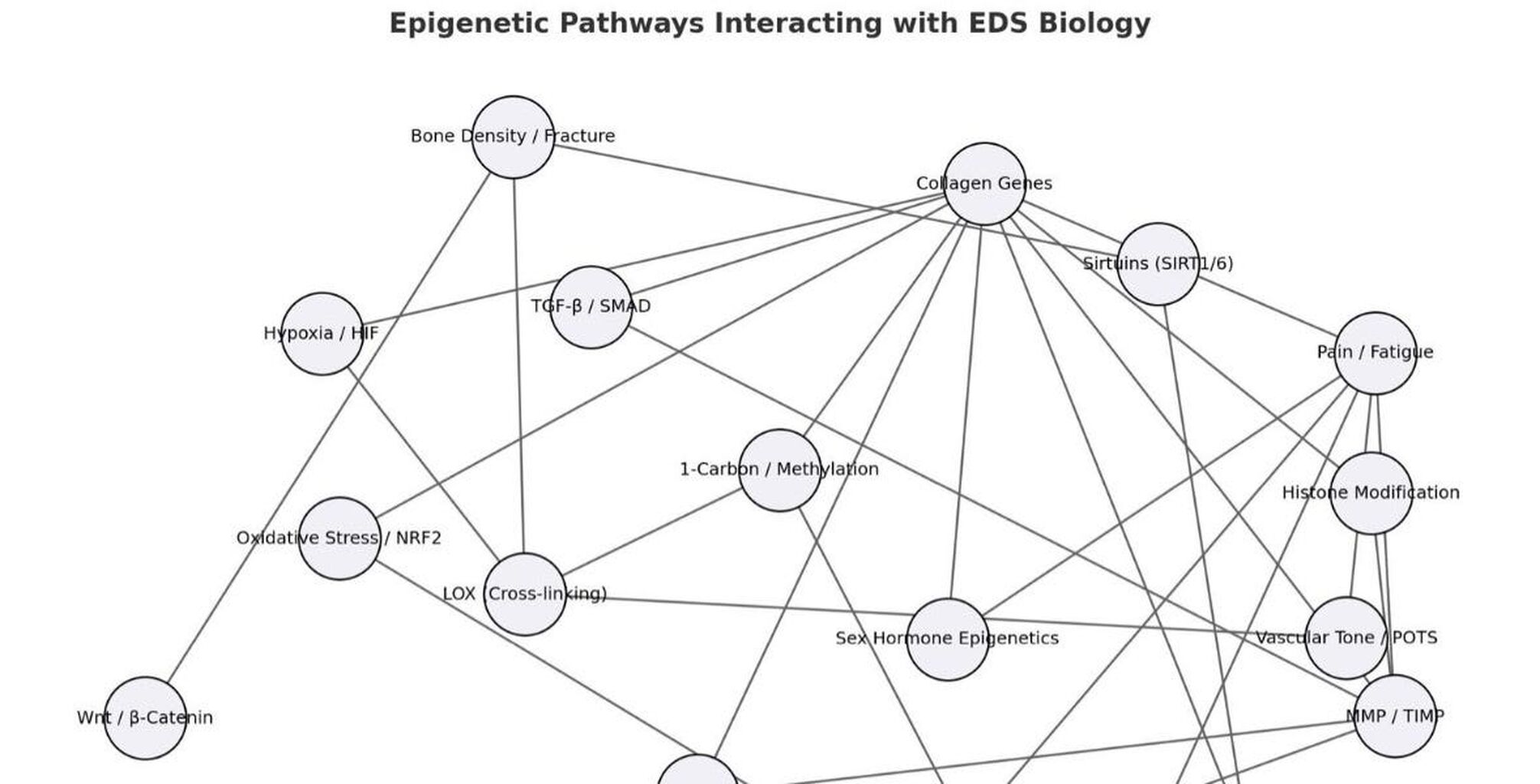Reading the Web: A Follow Up to a Decade of EDS Research