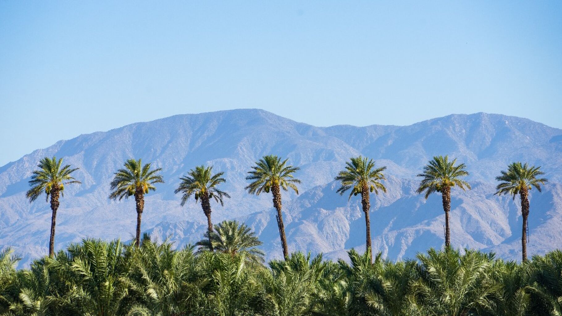 #Yes Visit Greater Palm Springs Terms & Conditions