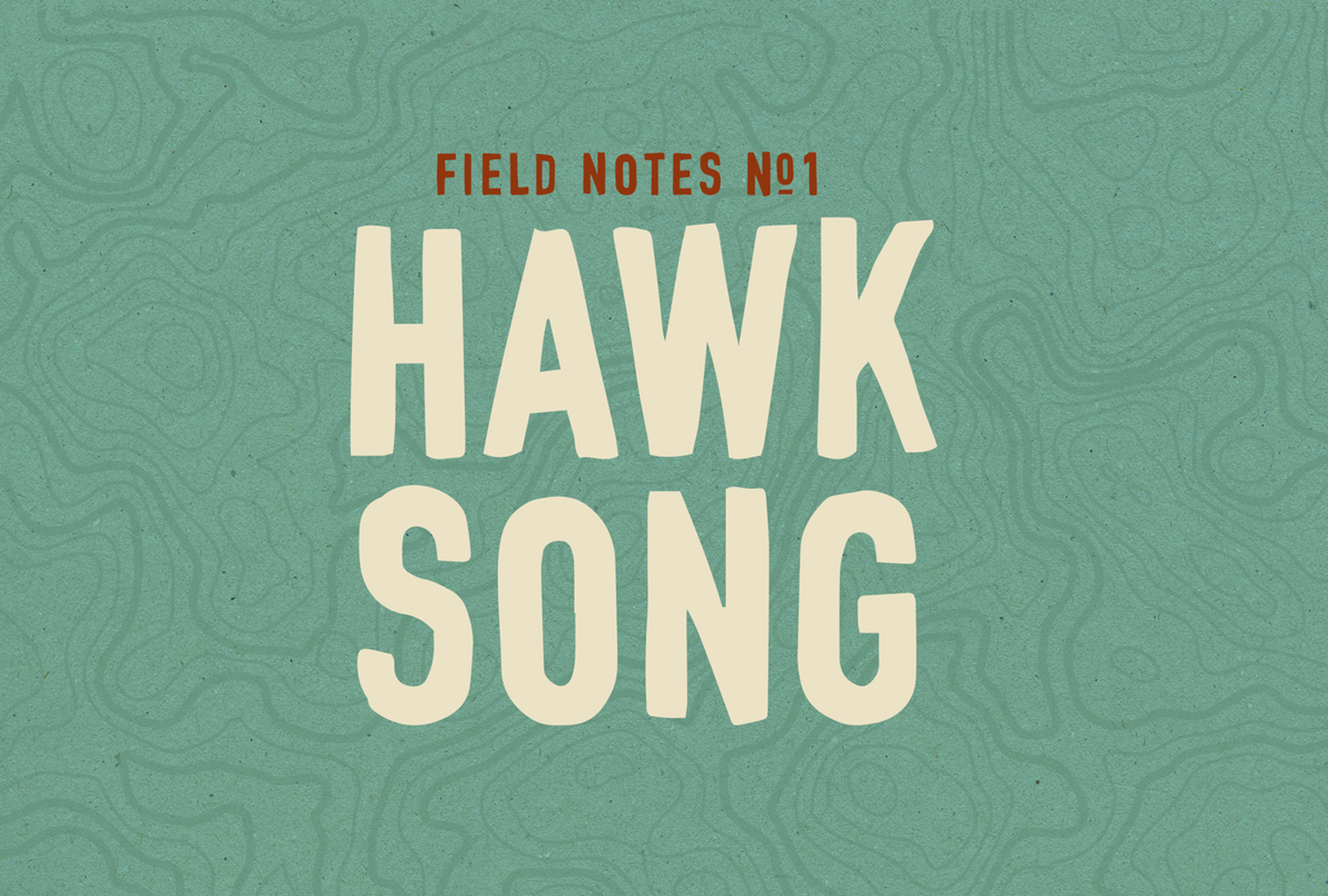 🦅 Field Notes #1: Hawk Song