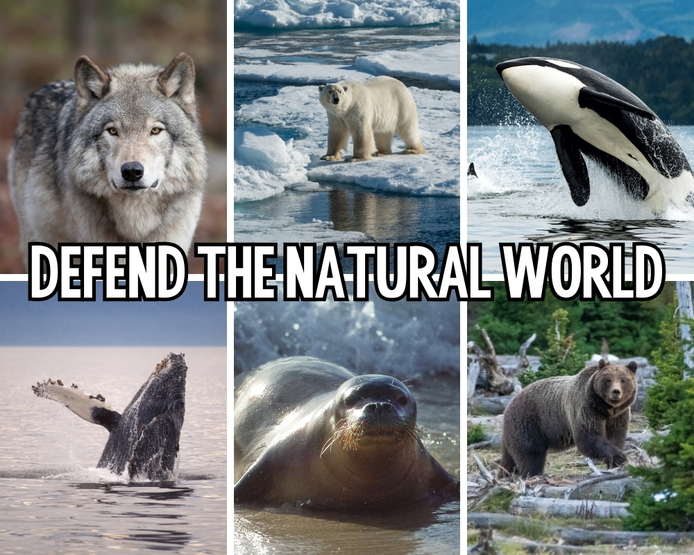 TAKE ACTION: Defend the Natural World