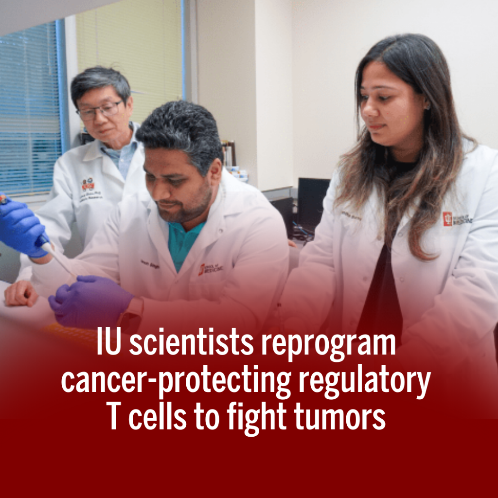 IU scientists reprogram cancer-protecting regulatory T cells to fight tumors