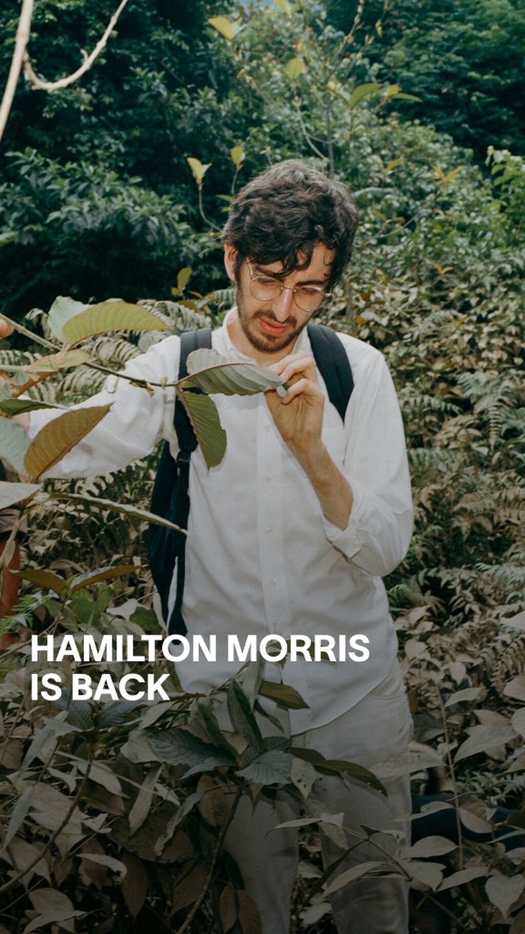 Hamilton Morris is Back