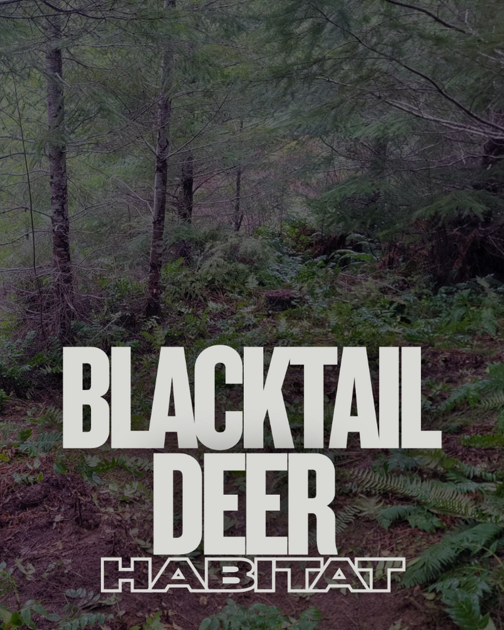 From Alaska&rsquo;s Rainforests to California&rsquo;s Chaparral: The Diverse Coastal Habitats of Black-tailed Deer