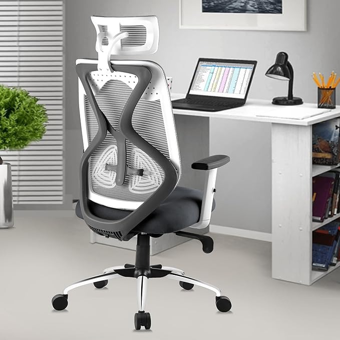 ASTRIDE Ergofit Ergonomic Office Chair for Home