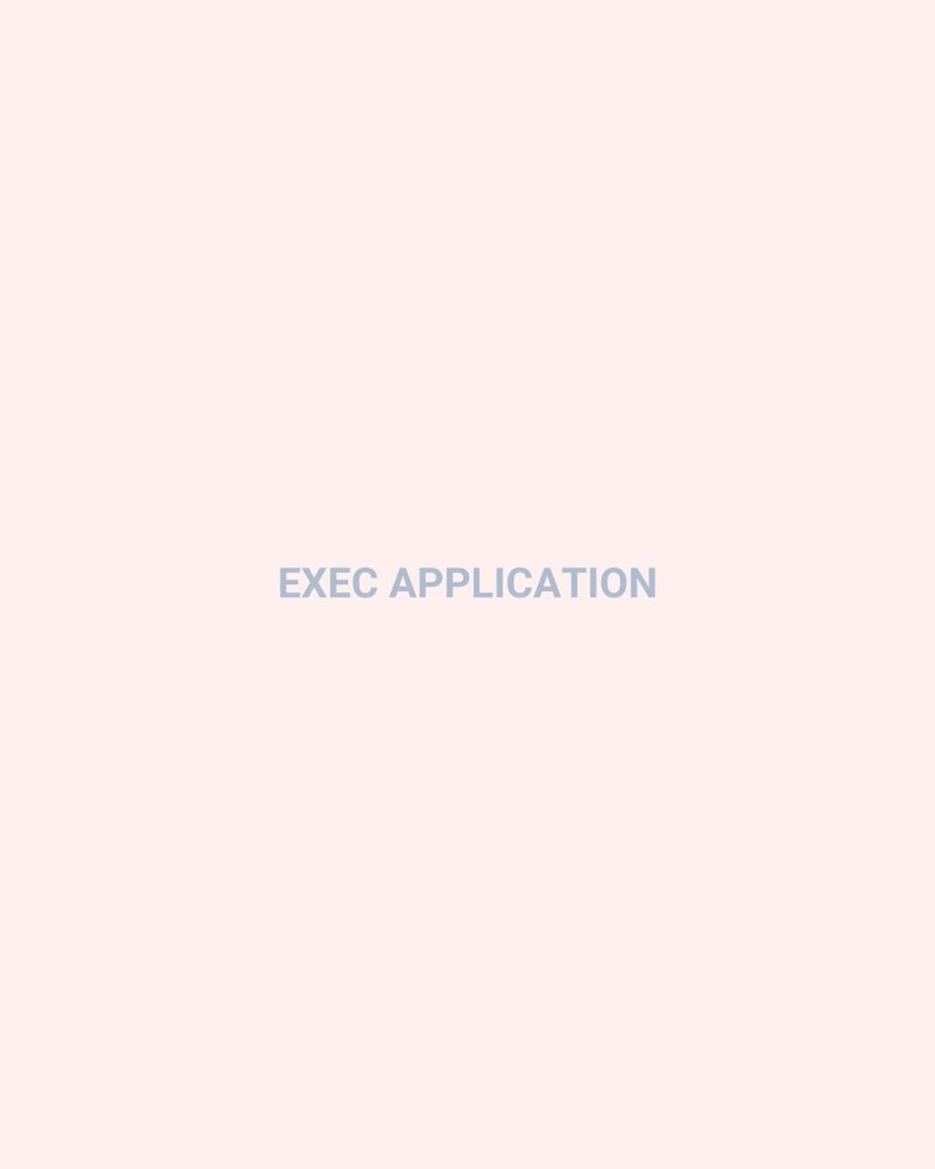 2027 Exec Application