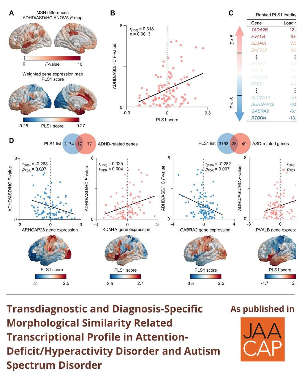JAACAP 0925 Transdiagnostic and Diagnosis-Specific