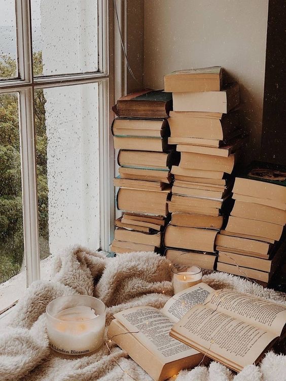 Be My Book Fairy! 🧚🏽&zwj;♀️ 📚 