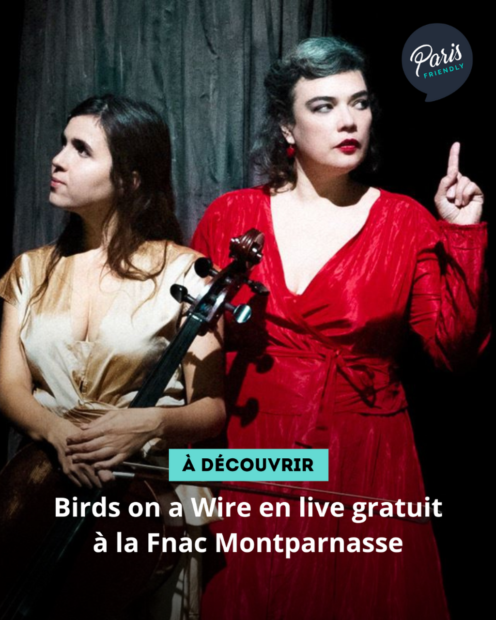 Birds on a Wire en live gratuit &agrave; la Fnac Montparnasse