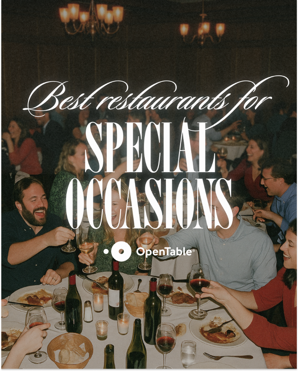 Special Occasion