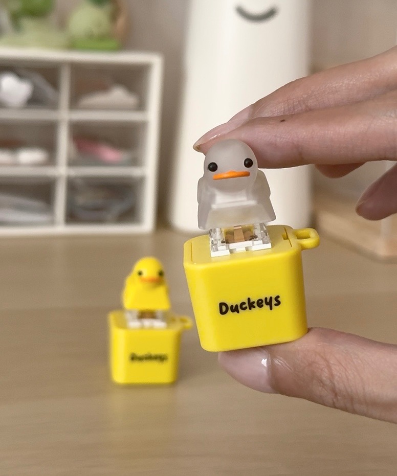 Quacking Duck 15% off Code: SHARLEEN 