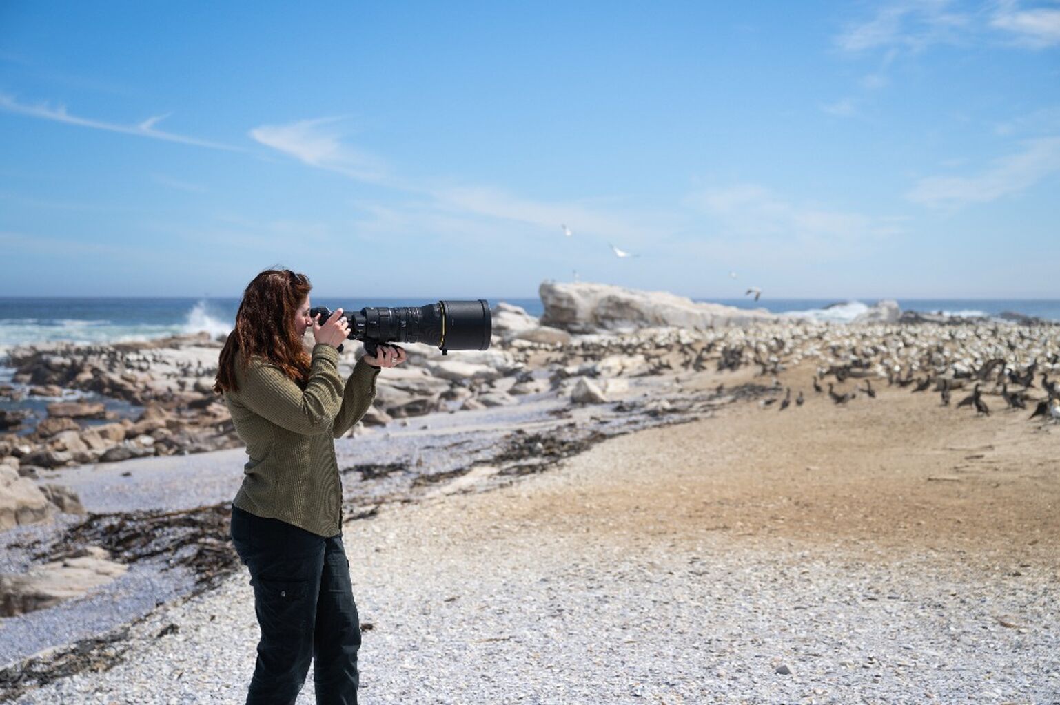 CreaPiXperience Wildlife | 04-10 | Brouwersdam 