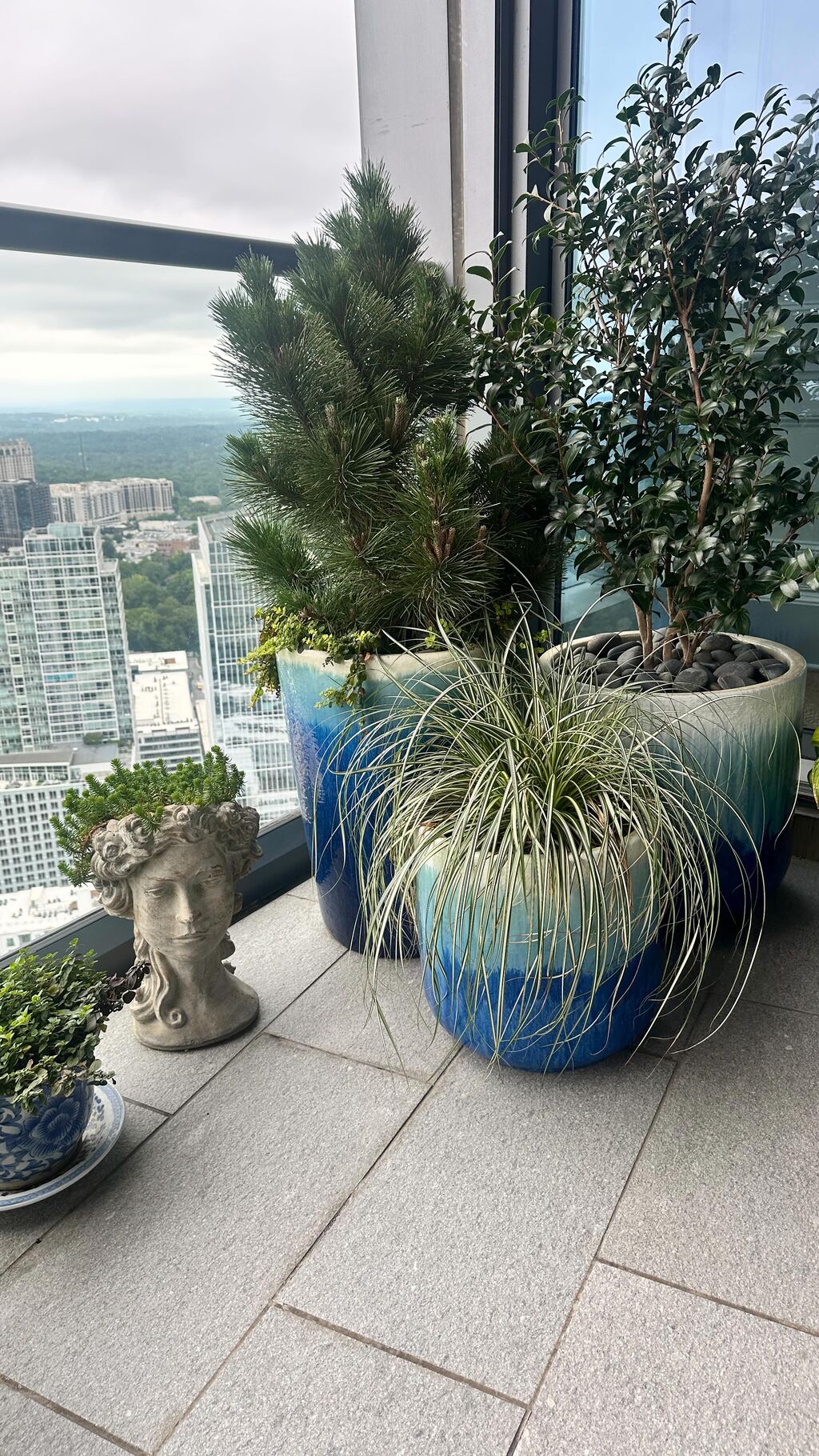 My Balcony Garden!