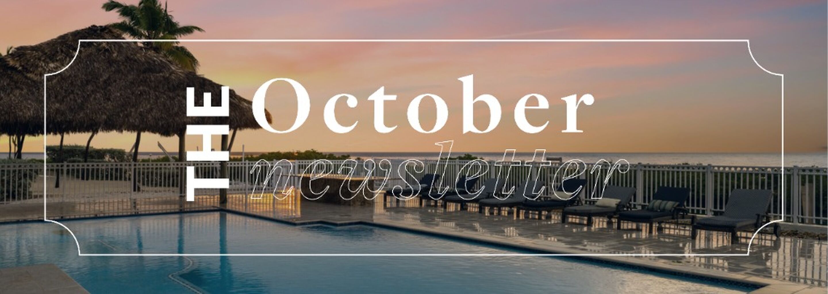 Fall Ambiance | October '25 Newsletter