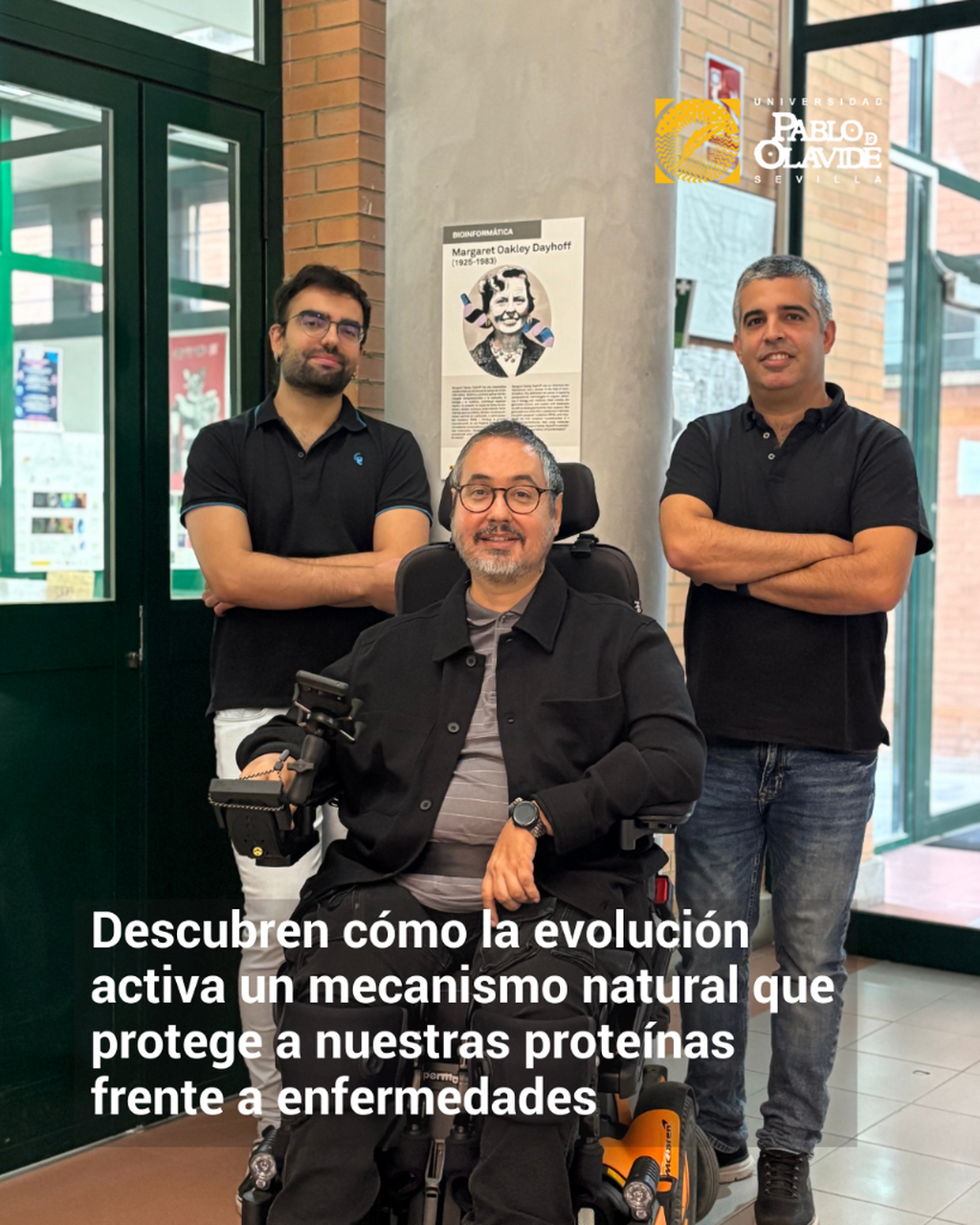 La evoluci&oacute;n &lsquo;frena&rsquo; las repeticiones aminoac&iacute;dicas &lsquo;t&oacute;xicas&rsquo; en prote&iacute;nas con un patr&oacute;n com&uacute;n en 30 especies