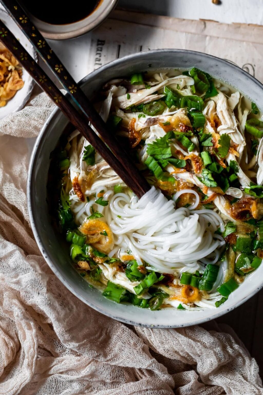 Vietnamese Soups